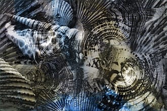 Digitale collage van structuren van verschillende schelpen.